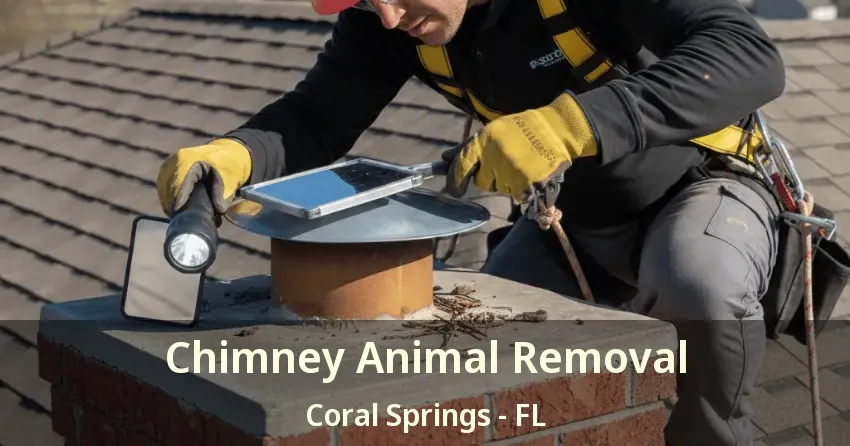 Chimney Animal Removal Coral Springs - FL