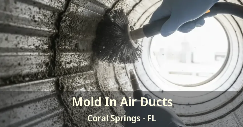 Mold In Air Ducts Coral Springs - FL