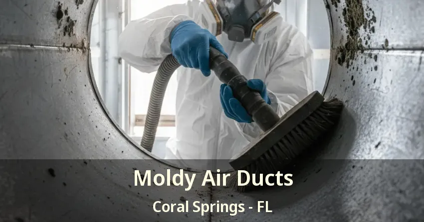 Moldy Air Ducts Coral Springs - FL Moldy Air Ducts Coral Springs - FL